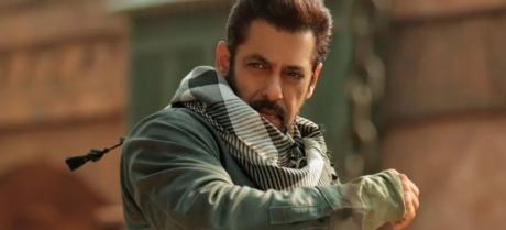 Salman Khan Defends Pakistan Against Terrorism Allegations