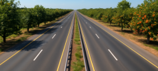Fruit Tree Plantation Planned Along Highways and Motorways Across Pakistan