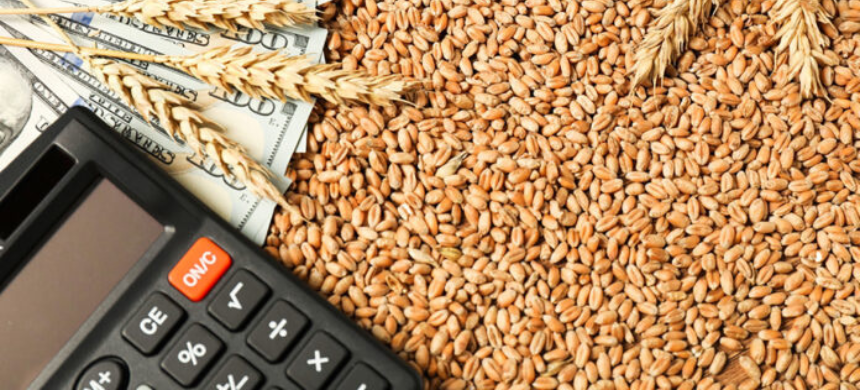 Government Halts Wheat Procurement This Year, Plans to Dissolve PASSCO