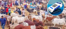 State Bank Launches 'Go Cashless' Initiative Ahead of Eidul Adha