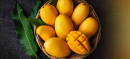 Pakistan to Export 125,000 Tonnes of Mangoes This Season