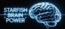 Starfish Neuroscience to Launch Wireless Brain Chip by Late 2025