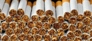 FBR Seizes and Destroys Smuggled Cigarettes Worth Rs. 180 Million in Jhelum