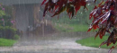 Hot Weather Grips Islamabad As Rain, Winds Expected in Parts of KP and Punjab