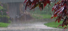 Hot Weather Grips Islamabad As Rain, Winds Expected in Parts of KP and Punjab