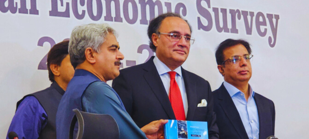 Pakistan Economic Survey 2024–25: Progress Amid Persistent Challenges ...