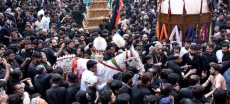 Punjab Enforces Strict Muharram Security Measures With Section 144