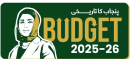 Punjab's Budget A Shift Towards Public Welfare