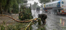 Seven Dead, Dozens Injured as Monsoon Rains Batter Punjab