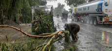 Seven Dead, Dozens Injured as Monsoon Rains Batter Punjab