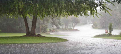 PDMA Issues High Alert for Heavy Monsoon Rains in Punjab Starting July 5