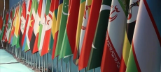 OIC Strongly Condemns Escalating Genocide in Gaza