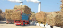 CCP Summons 70 Sugar Mills In Price-Fixing Case, CJP Urged For Probe