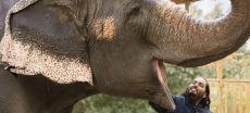 Indian SC Orders Probe Into Anant Ambani’s Vantara Wildlife Centre