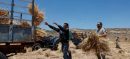Israeli Army Uproots Three Thousand Olive Trees In West Bank Region