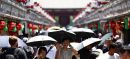 Japan’s Record Heat Raises Alarm Over Rice Crop Damage
