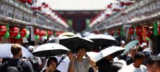 Japan’s Record Heat Raises Alarm Over Rice Crop Damage