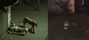 Lion attacks man after escaping from Rawalpindi PWD Zoo