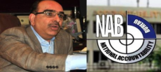 NAB Set to Sell Malik Riaz’s Bahria Town Assets at Auction
