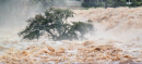 NDMA Issues Flood Warning As Water Rises In Sutlej River