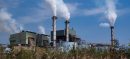 Punjab Government Struggles To Control Rising Sugar And Flour Prices