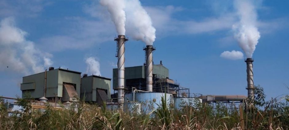 Punjab Government Struggles To Control Rising Sugar And Flour Prices