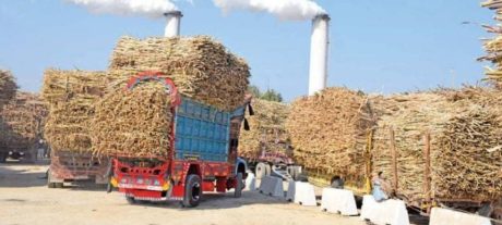 Sugar Mills Owe Farmers Over Rs3 Billion According To Audit Report (1)