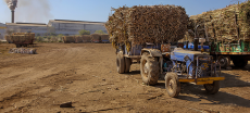 Sugar Mills Owe Farmers Over Rs3 Billion According To Audit Report
