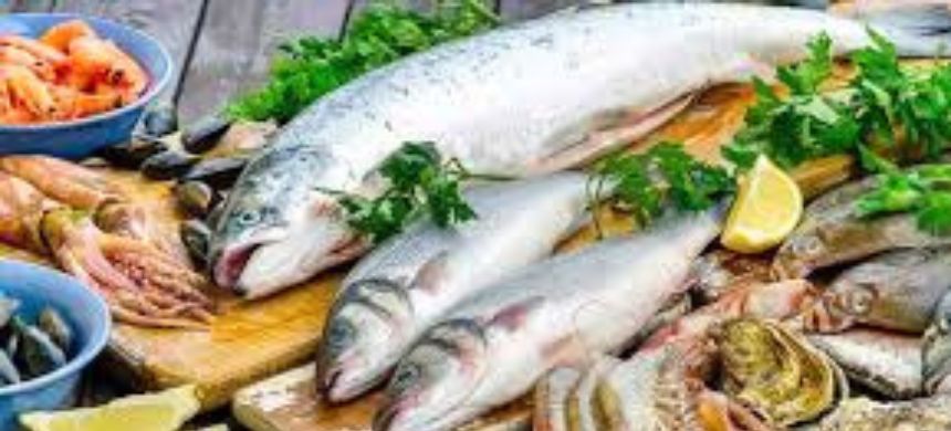 US Approves Pakistan’s Seafood Exports for Four Years