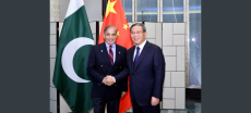 PM Shehbaz, Chinese Group Expand Economic Cooperation
