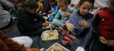 Gaza crisis deepens as UN food agency warns of breaking point