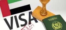 Big Visa Update UAE Introduces New Visas For Professionals And Tourists