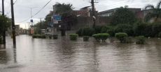 Flood Chaos In Gujrat After 526mm Rainfall, Schools Closed