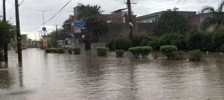 Flood Chaos In Gujrat After 526mm Rainfall, Schools Closed