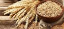 Flour Supply Restored In Punjab Following Government-Mills Agreement