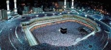 Govt Releases List Of Certified Umrah Companies To Curb Fraud