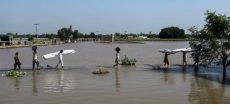 IMF Clears Rs. 389 Billion Aid For PM’s Flood Relief Initiative (1)
