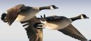 KP Bans Hunting Across 57 Locations Until December 2025