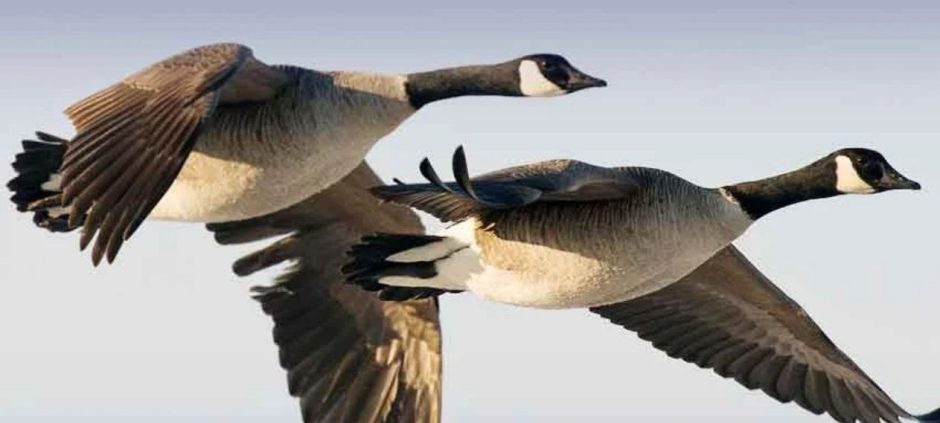 KP Bans Hunting Across 57 Locations Until December 2025