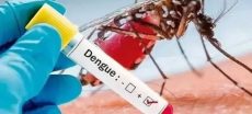 Lahore on Alert as Dengue Cases Surge