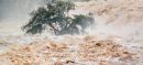 Next 48 Hours Critical as India Increases Water Release into Sutlej