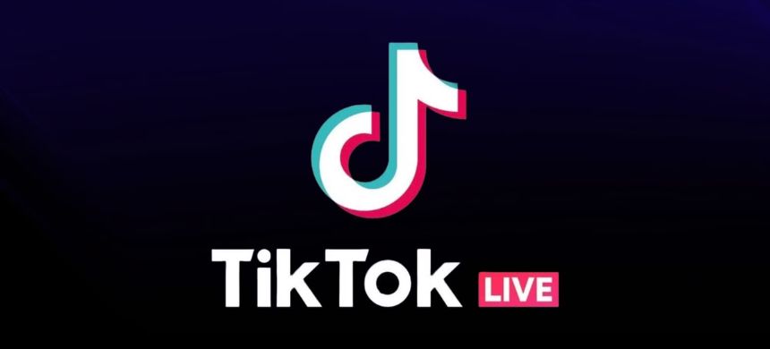 Punjab Assembly Proposes Ban on TikTok Live Over Obscene Content