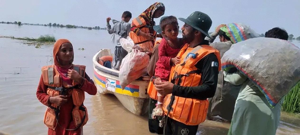 Punjab Floods Ravage 2.2M Acres Of Crops, Rice Suffers Major Loss
