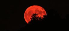 Red Moon Amazing Global Shots of the 2025 Lunar Eclipse
