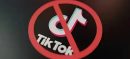 Resolution Filed In Punjab Assembly Calling For Complete TikTok Ban