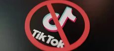 Resolution Filed In Punjab Assembly Calling For Complete TikTok Ban