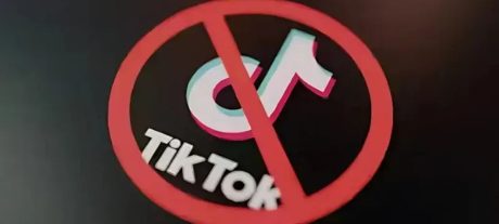 Resolution Filed In Punjab Assembly Calling For Complete TikTok Ban