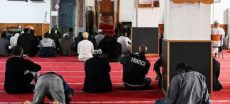 Serbian Police Detain 11 Suspects Over Placing Pigs’ Heads at French Mosques