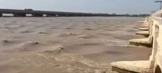 Sindh Barrages Strain As Indus River Floods Villages And Crops (1)