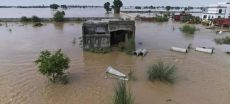 Sutlej, Ravi, Chenab Rivers Face High Flood Threat From Heavy Rains